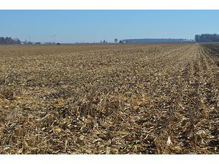 Tracts 4 & 5 - FARMLAND AUCTION - 165.5+/- ACRES OFFERED IN 5 TRACTS OR COMBINATIONS IN EAST ALLEN COUNTY